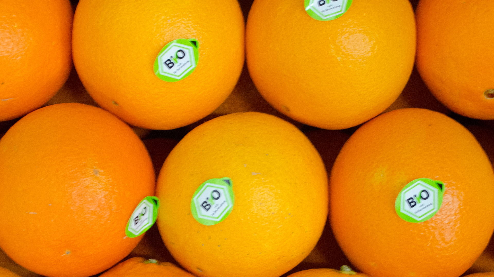 Bio-Orangen2clWiRa568g1J Bio Orangen Riberella