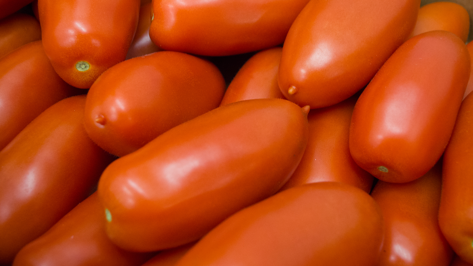 Flaschen Tomaten Kiste Frankreich