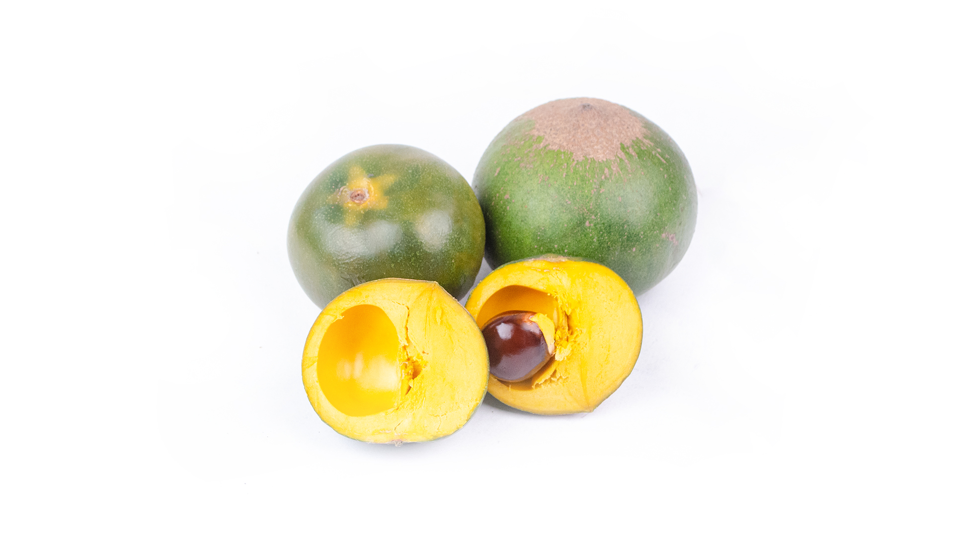 Lucuma