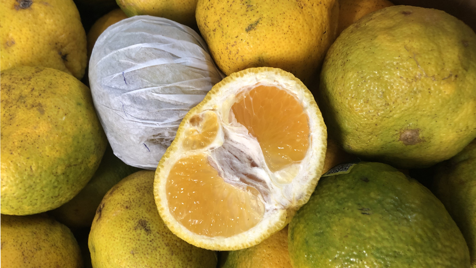 uglifrucht Uglifruit-Kiste