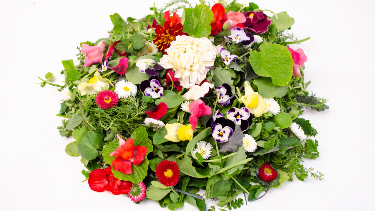 Frische essbare Blumen Blüten einfach online kaufen & liefern lassen