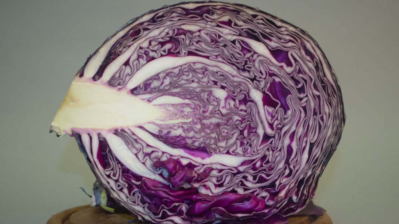 Rotkohl (Blaukraut) kaufen